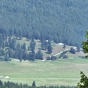 Meet your Posher, Suzanne